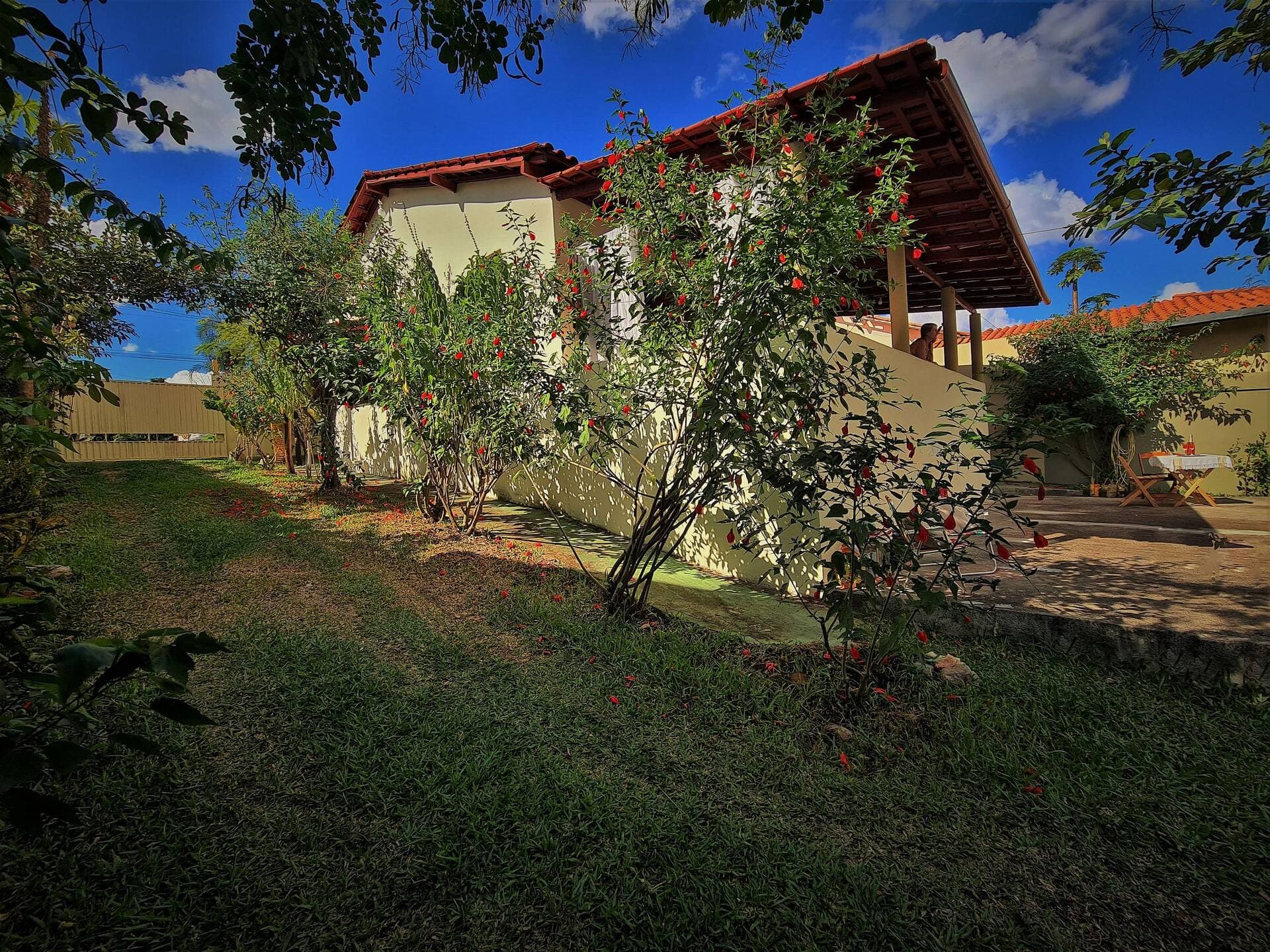 Fachada da casa sob céu azul, cercada de árvores