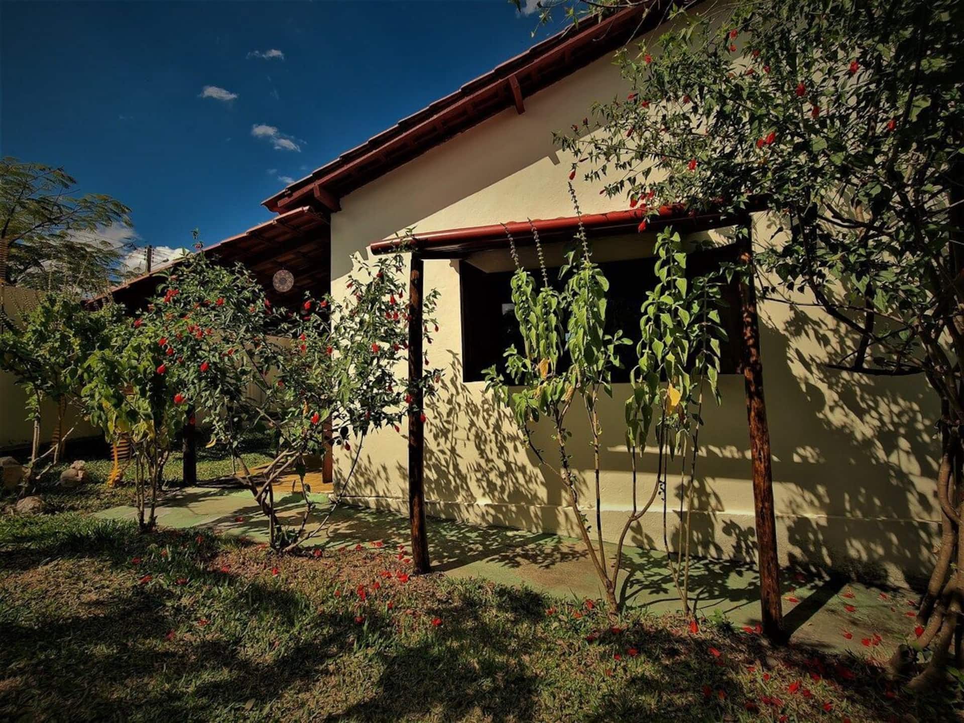 Lateral da casa com trepadeiras